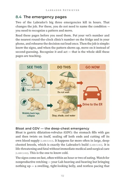 Preview of an emergency action page